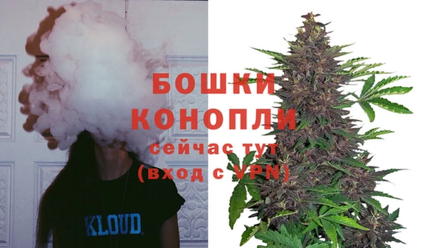 эйфоретик Куйбышев