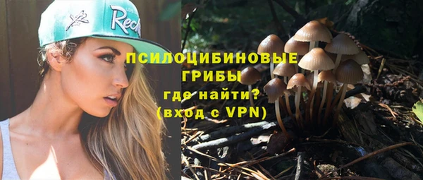 эйфоретик Куйбышев