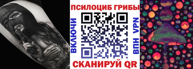 сколько стоит  Тайшет  Псилоцибиновые грибы Psilocybe 