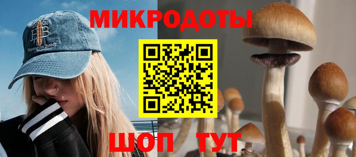 Псилоцибиновые грибы Psilocybe  Вход с VPN  Псилоцибиновые грибы мицелий  Тайшет 