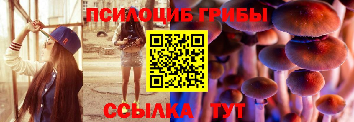 Псилоцибиновые грибы MAGIC MUSHROOMS  Тайшет  Галлюциногенные грибы Magic Shrooms 