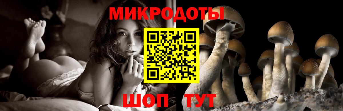 ГАШИШ Тайшет